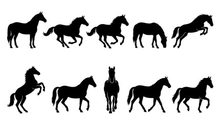 Fototapeta premium Horse Silhouette Collection Vector Set Featuring Ten Different Equestrian Poses Showing Galloping Running Standing And Rearing Animal Body Movements