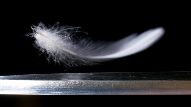 directional. A single feather drifting past a polished metal blade in close-up view. wellbeing guides, coaching materials, designed for coaching and self-improvement content, supports wellbeing.