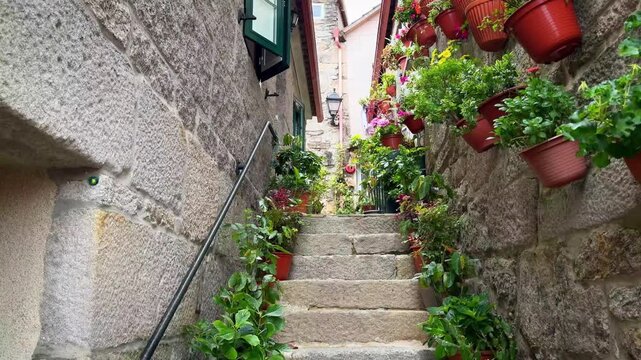 Charming Stone Alley Decorated With Flower Pots in Combarro Spain