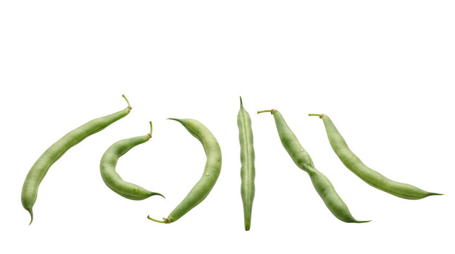Fresh green beans arranged in a row, organic raw string beans, healthy garden vegetables for cooking and nutrition isolated PNG with Transparent Background