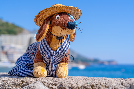 Plush dog toy in straw hat and checkered outfit by the sea