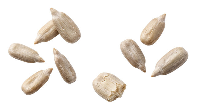 Peeled sunflower seeds, raw organic sunflower kernels, healthy vegan snack ingredients, natural protein rich seeds for culinary use isolated PNG with Transparent Background