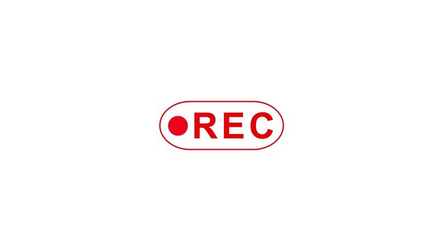 REC icon red circle blinking on black transparent background. rec frame icon animation. recording icon button 4k concept. REC Recording Button 4k Animation.