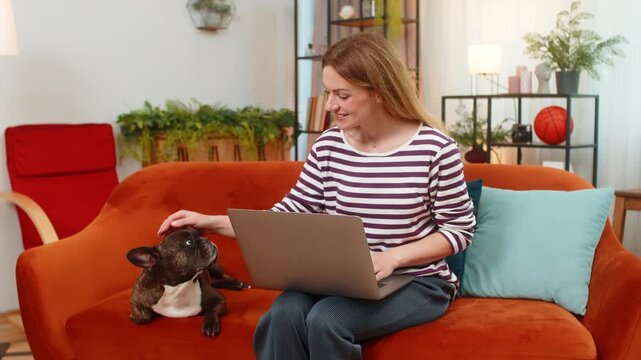 Middle-aged woman with French bulldog at home works on laptop types calmly and pets companion. Girl with dog on sofa continues remote work freelance typing focused mood simple care and support calm