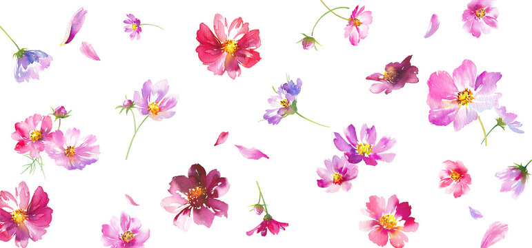 秋の花：様々な色のコスモスの花の水彩イラストで構成したフローラルパターン　壁紙　テキスタイル