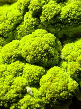 Natural pattern of Romanesco cauliflower captured in macro detail. Abstract food background featuring organic textures, freshness and vegetable production.
