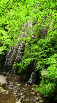 龍双ヶ滝