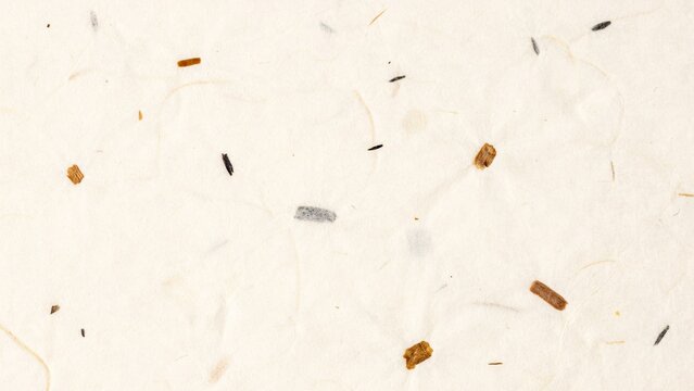Off-white handmade paper texture with embedded organic fibers and specks