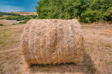 Obraz premium Rolling farmland hills and lush treeline frame a single round hay bale bound with blue twine on a dry summer field.