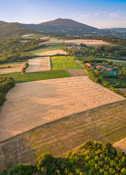Aerial drone view of terraced agricultural fields and wooded hills at warm golden sunset. Rural landscape concept.