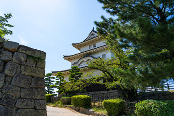 Fototapeta premium Original castle tower of Marugame Castle under a clear blue sky in Kagawa Prefecture, Japan.