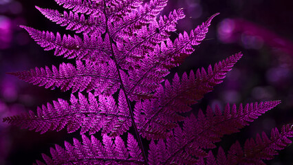 LANDSCAPES OF NATURE - Forest fern in the sunlight © Wojciech Wrzesień