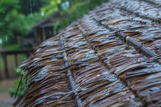 Wet thatched roof with bamboo frame in rain