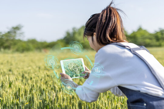 A young woman uses a tablet with digital overlays to monitor crop growth in an outdoor farm field during daytime.