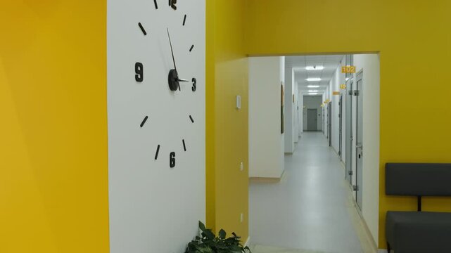 Contemporary clinic corridor features patient rooms sofa and potted plant. Large clock with minimalist design hang on wall. Slow motion