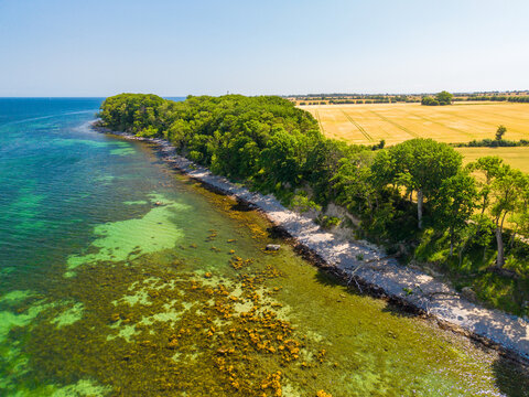 Katharinenhof Coast, Fehmarn Island, Baltic Sea, Germany