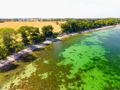 Katharinenhof Coast, Fehmarn Island, Baltic Sea, Germany