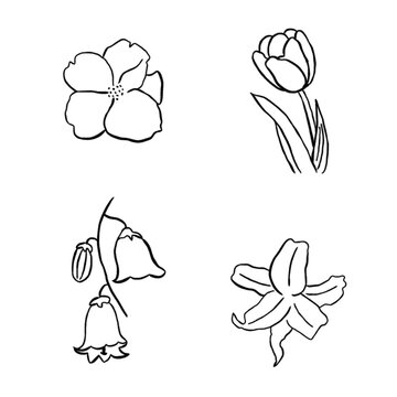 set of flowers