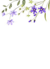 Floral background, violet wild flowers frame border for greeting cards, invitations and other printing design. Isolated on white. Hand drawing. © Larisa