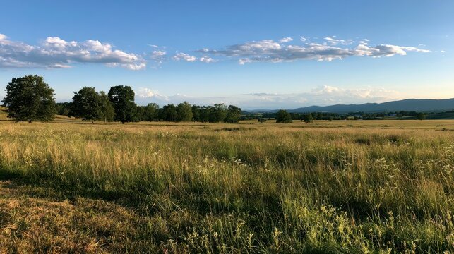 Calm rural meadow scene in Blacksburg during a warm summer afternoon