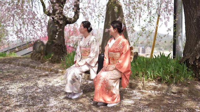Two women in traditional robes sit beneath cherry blossoms. They appear calm, enjoying a quiet moment together. Their kimono patterns and colors reflect seasonal grace