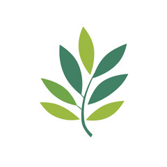 Fototapeta premium Minimalist olive branch botanical illustration vector graphic on transparent background