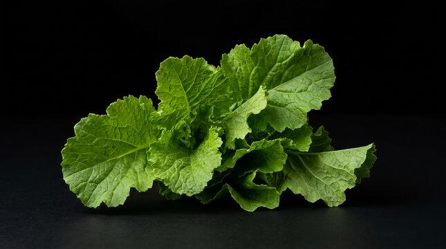 Fresh Bangladeshi Mustard Greens (Sorisha Shak) Isolated on Black Background, Premium Organic Food Photography