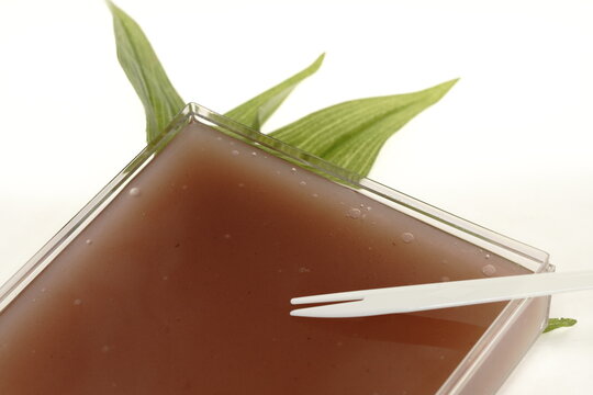 水羊羹　夏の水 葛どうふ 小豆　
