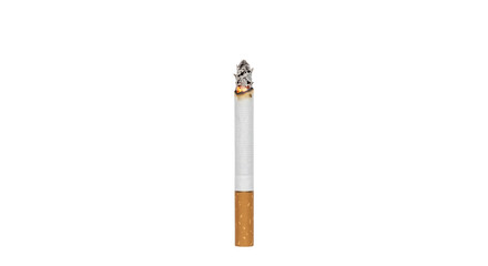 Burning cigarette with ash and glowing ember on a white background © Sapphire