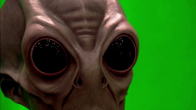 Alien grey terror green screen aliens ufo area 51