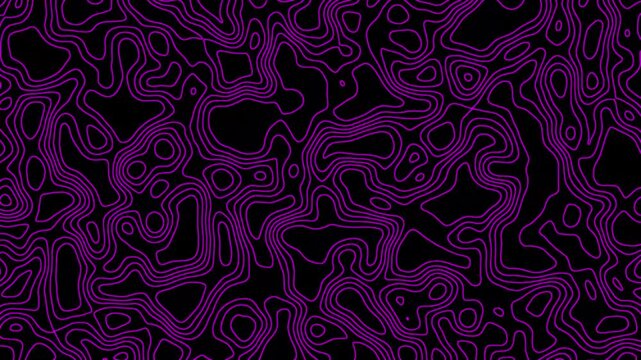 Abstract purple neon topographic contour lines moving on black background