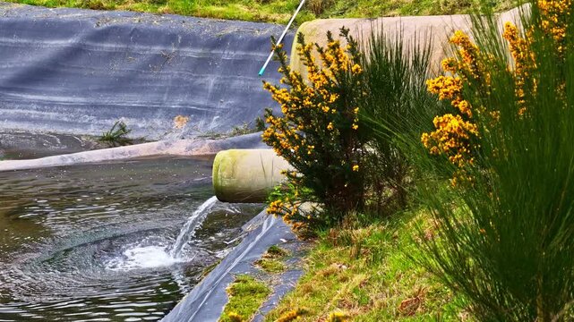 Aerial view of a water pipe discharging into a lined reservoir with yellow gorse bushes growing on the grassy bank, Europe.