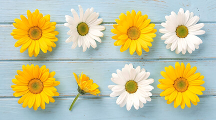 Obraz premium Brightly colored daisies and a small yellow flower arranged on weathered blue wooden planks for a cheerful floral display