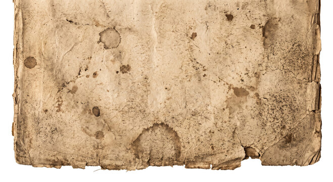 Aged and stained parchment with torn edges and visible texture