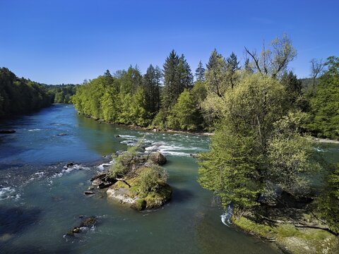 Small island in the Reuss river, Niederwil, Gnadental, Bremgarten district, Aargau canton, Switzerland