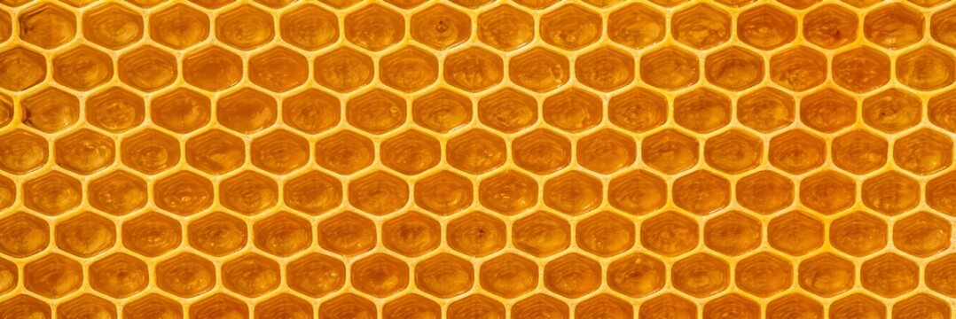Golden honeycomb background texture. Close up of natural beeswax cells in a beehive.