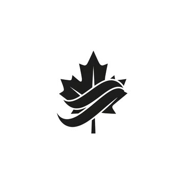 Black maple leaf icon with ribbon scroll on a white background