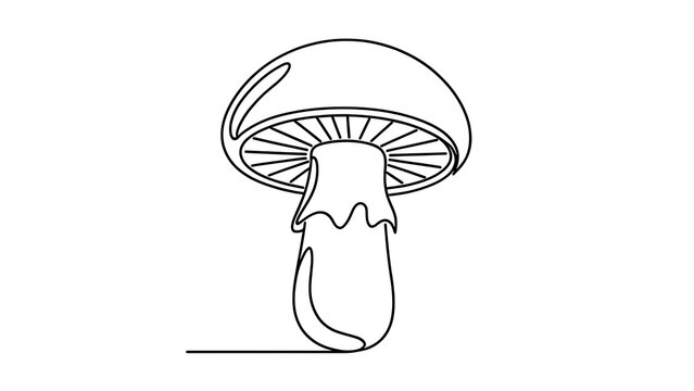 Minimalist mushroom line art on white background.