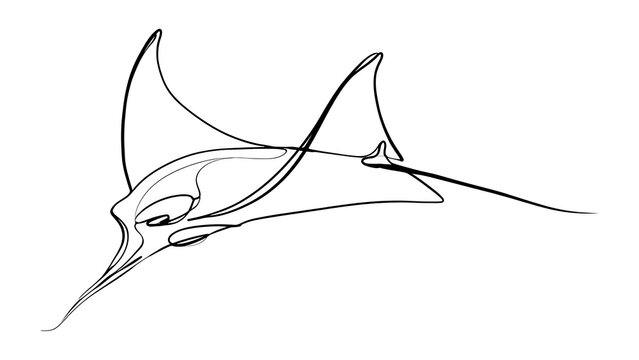 Minimalist manta ray line drawing white background.