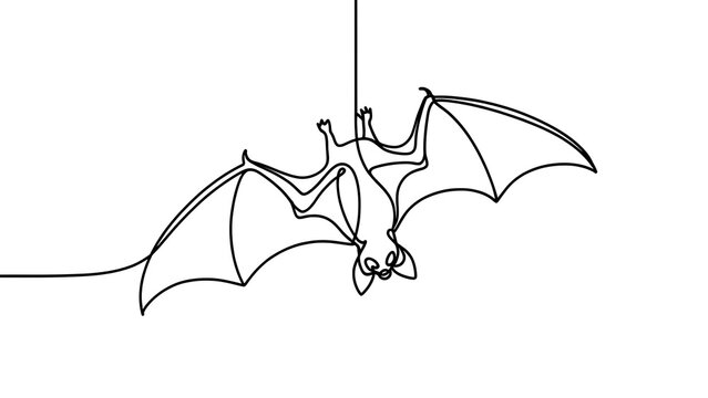 Minimalist bat line art on white background.