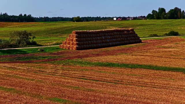 Aerial view of a large stack of cylindrical hay bales resting in a golden harvested field with rolling green hills and trees in the background in Europe.