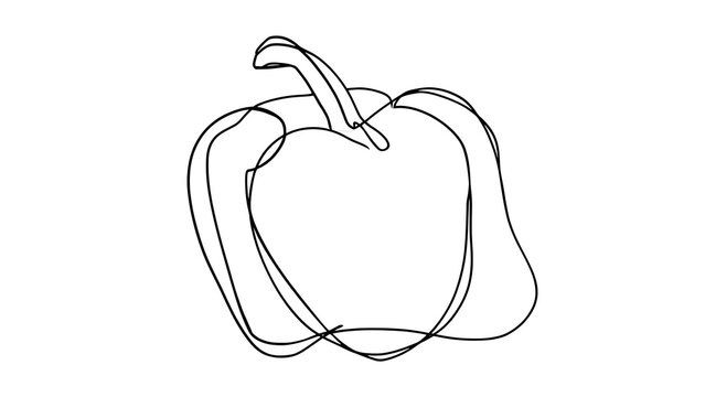 Hand drawn bell pepper illustration white background.