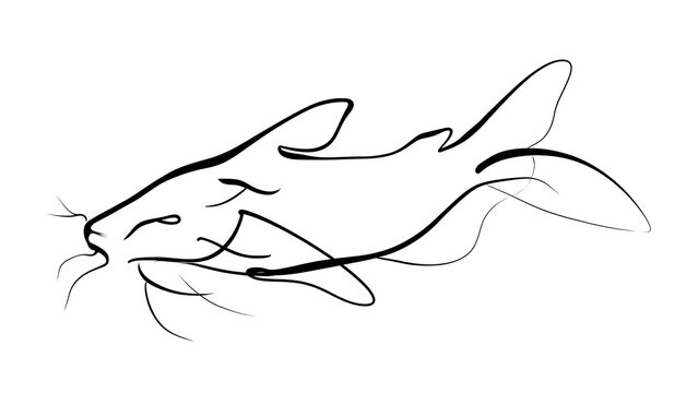 Minimalist cat drawing on white background.