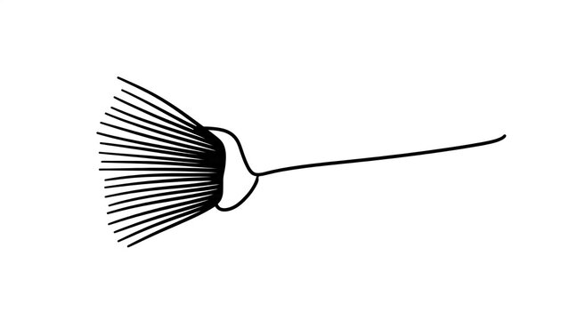 Black feather duster isolated on white background.