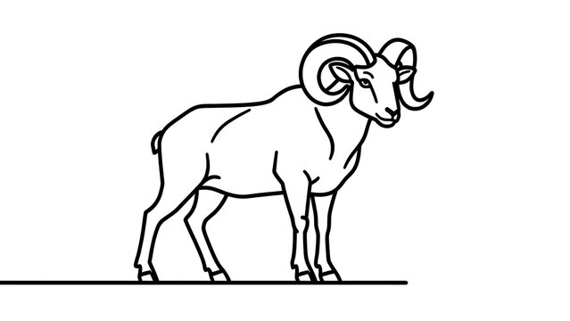 Illustration of a ram with large horns white background.