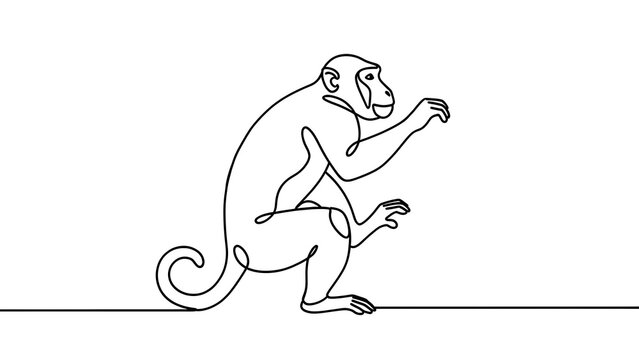 Minimalist monkey line art white background.