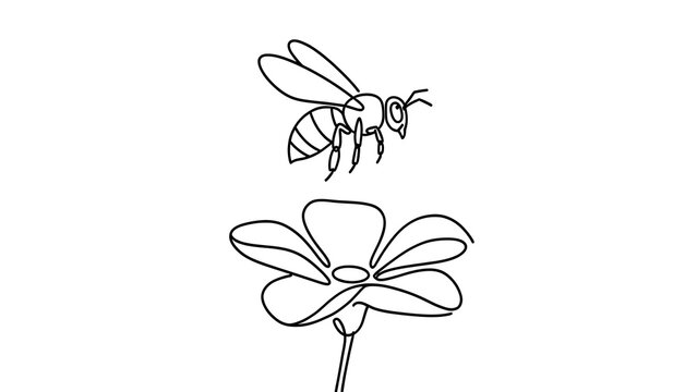 Bee and flower illustration on white background.