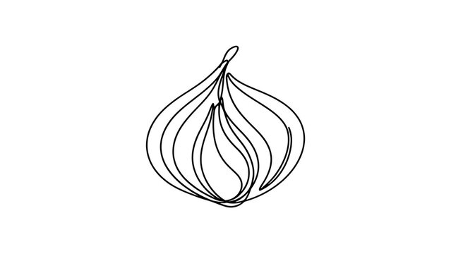 Minimalist onion line art illustration white background.