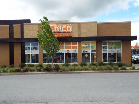 Gatineau, Quebec, Canada &ndash; June 13, 2026: A "Chico boutique d'animaux" pet store storefront with a brick exterior and large display windows stands under a cloudy sky at 505 Chem. Vanier.