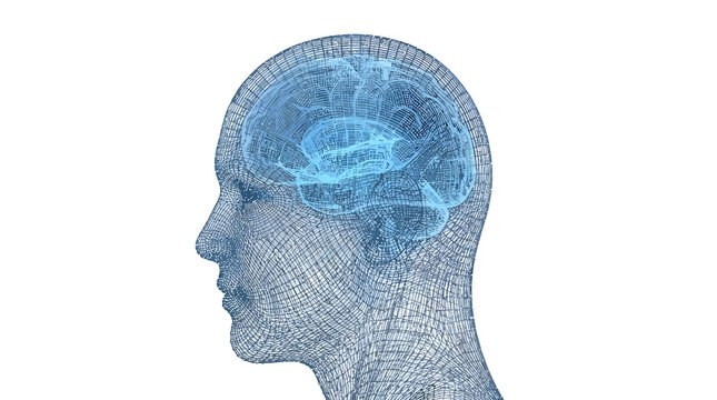 Futuristic blue wireframe human head with glowing brain, digital neural network and artificial intelligence concept, 3D medical visualization of human mind